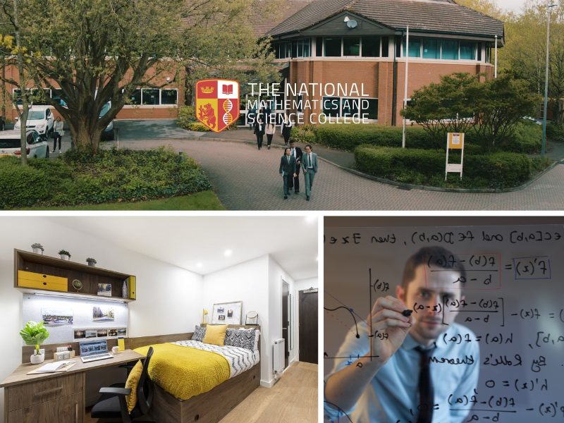 Куда поступают российские выпускники? Объективные цифры