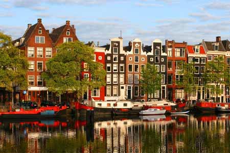 голландские университеты